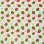 Preview: Regenjackenstoff Erdbeeren